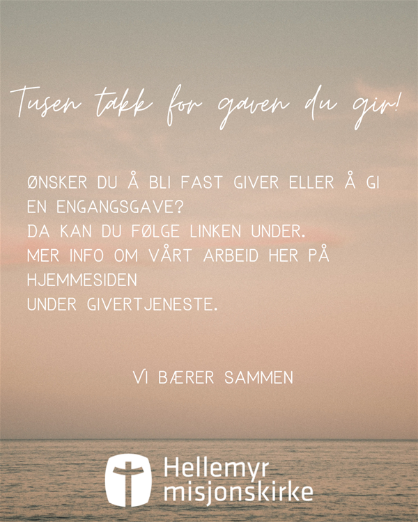 tusen-takk-for-gaven-du-gir!